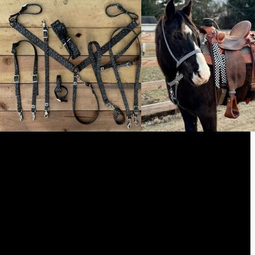 Nylon Tack Sets