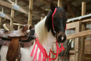 Tack Sets with Fringe