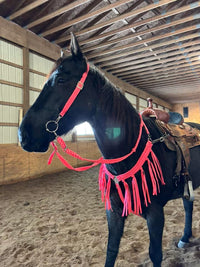 Tack Sets with Fringe