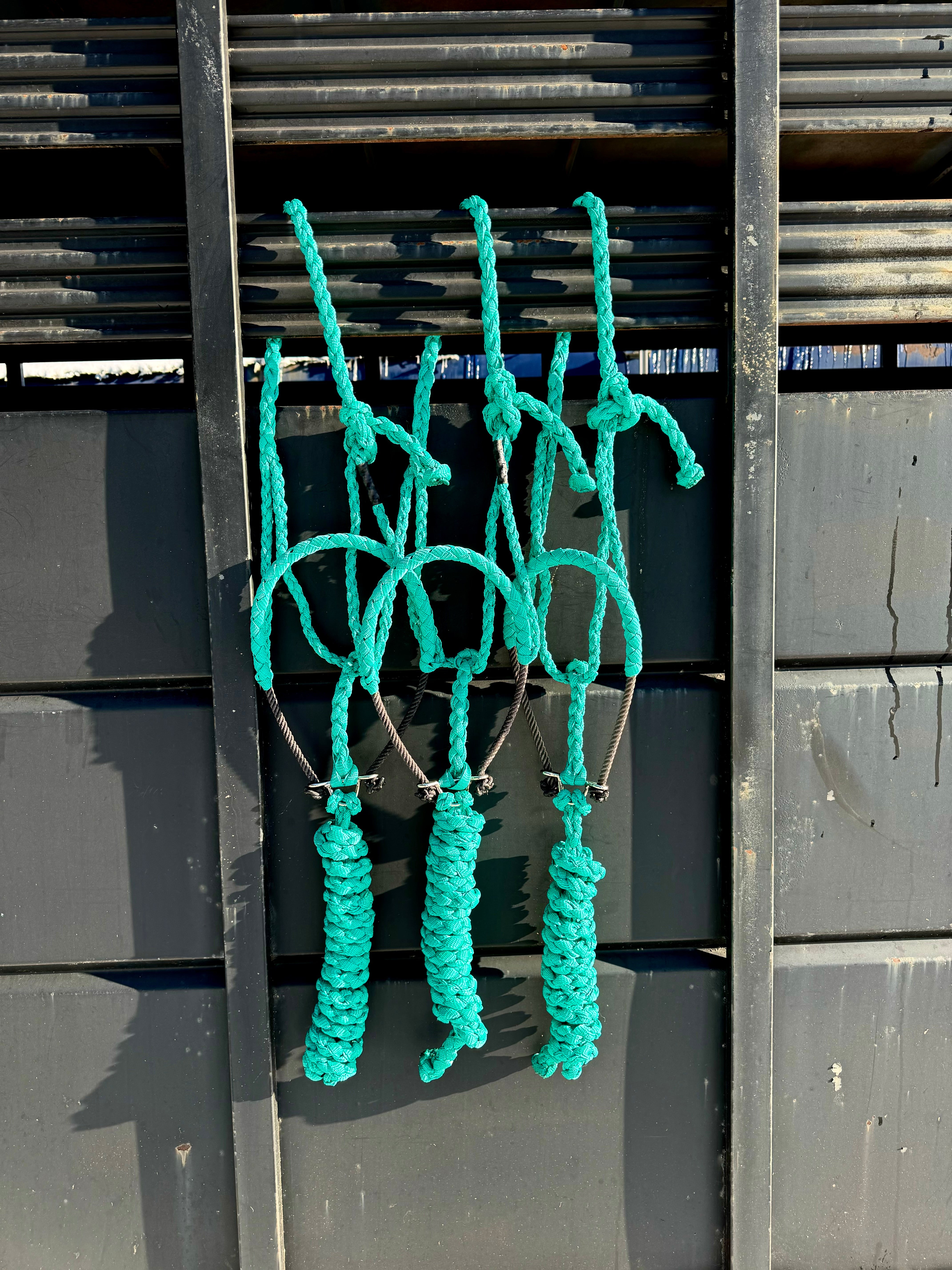 Lariat Mule Tape Halters
