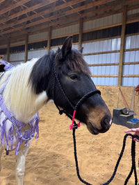 Lariat Mule Tape Halters