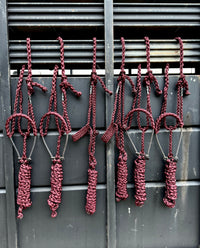 Lariat Mule Tape Halters