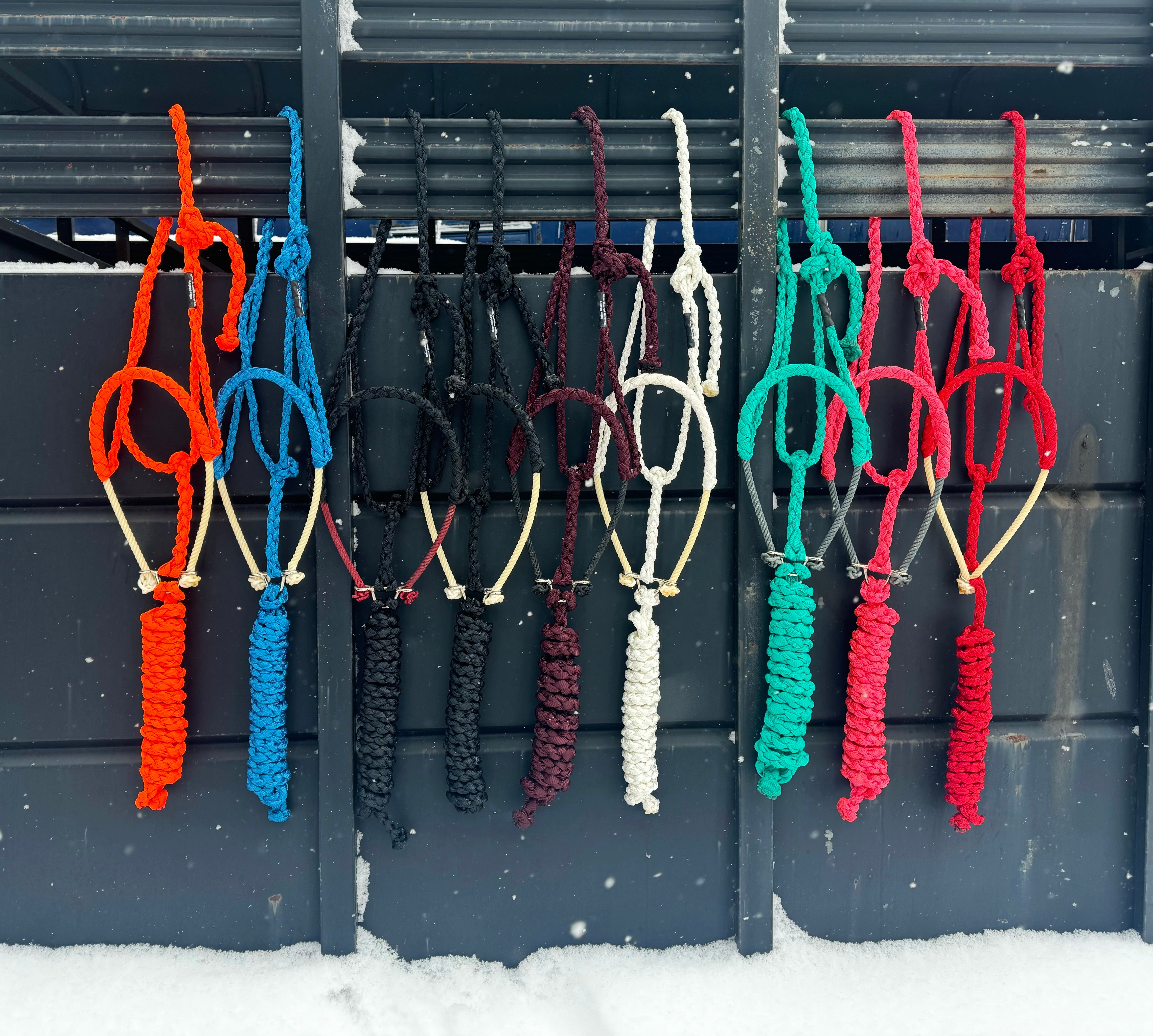 Lariat Mule Tape Halters