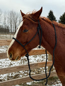 Lariat Mule Tape Halters