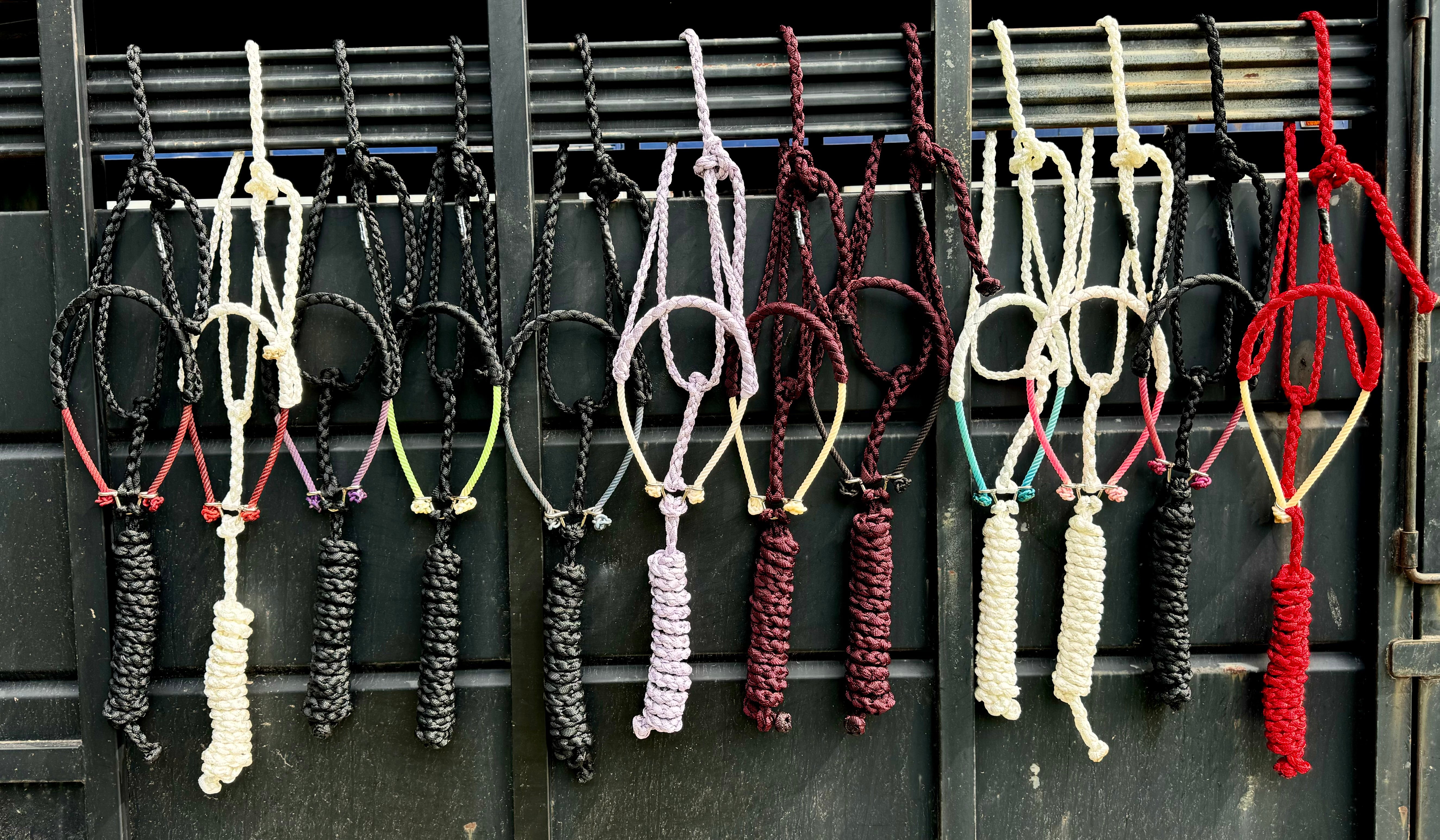 Lariat Mule Tape Halters