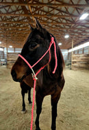 Lariat Mule Tape Halters