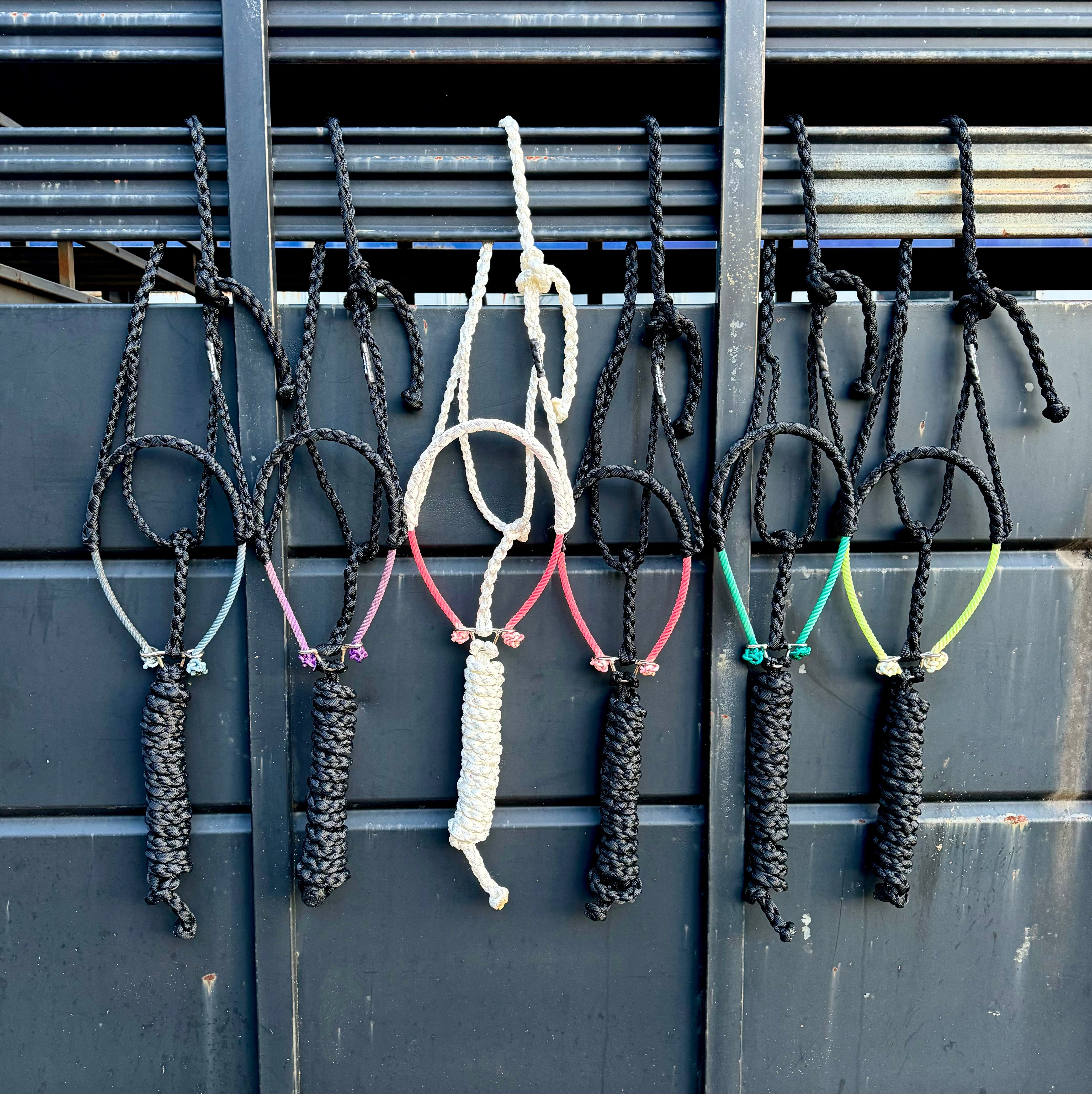 Lariat Mule Tape Halters