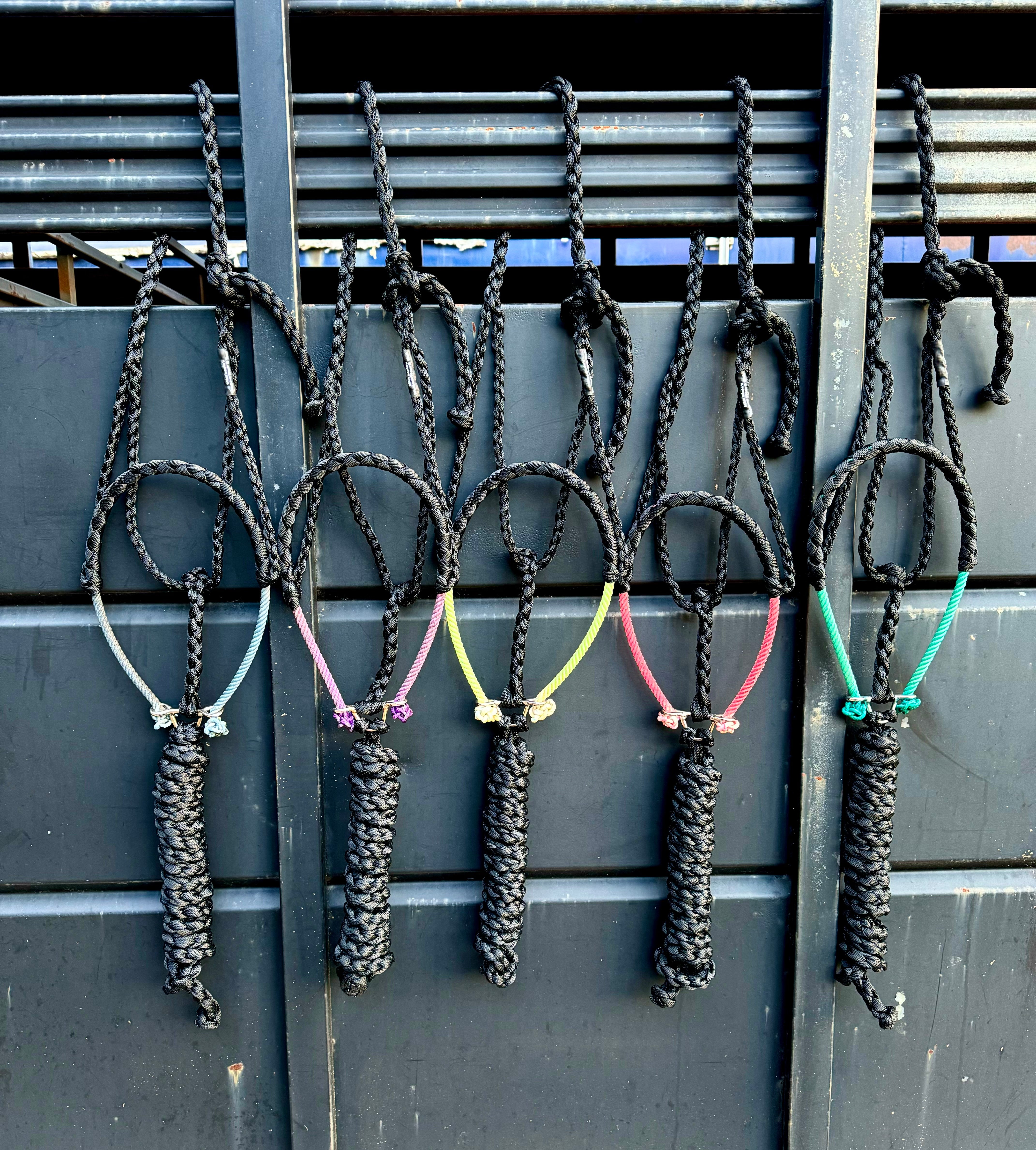 Lariat Mule Tape Halters