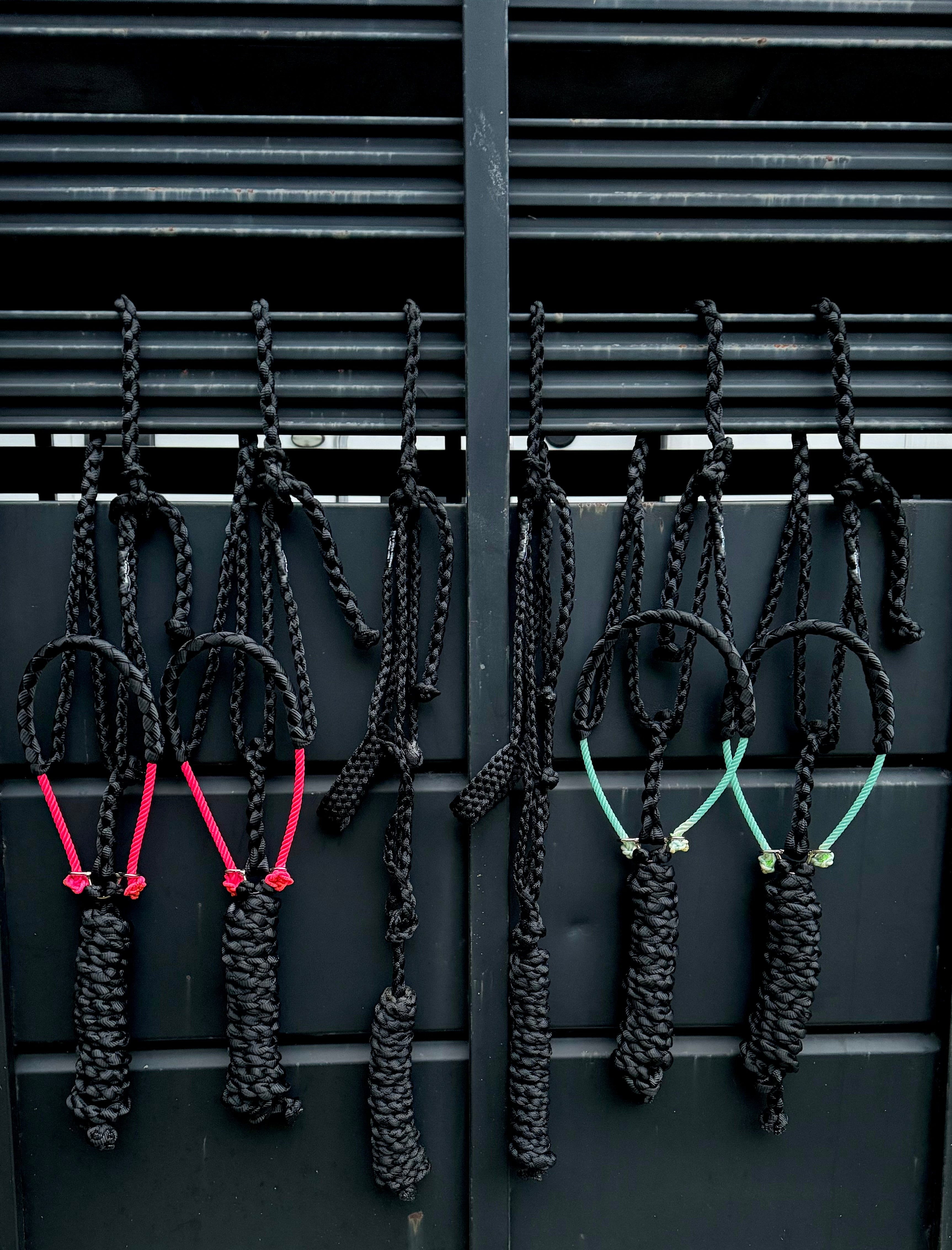 Lariat Mule Tape Halters