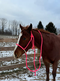 Lariat Mule Tape Halters