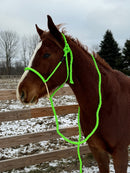 Lariat Mule Tape Halters