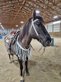 Brow Band Quick Change Headstalls with a Throat Latch (all colors)