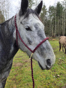 Lariat Mule Tape Halters